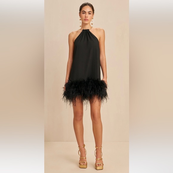 CULT GAIA REEVES FEATHER DRESS IN BLACK NWOT